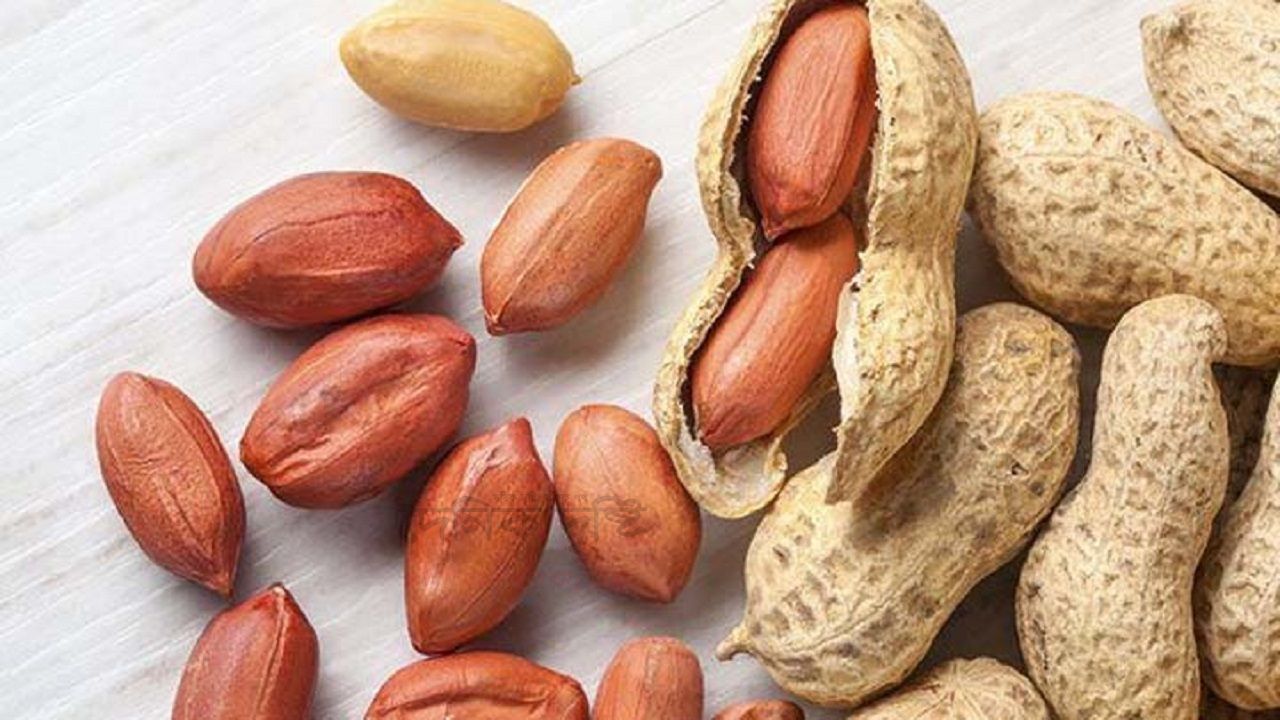 পুষ্টিতে ভরপুর বাদাম