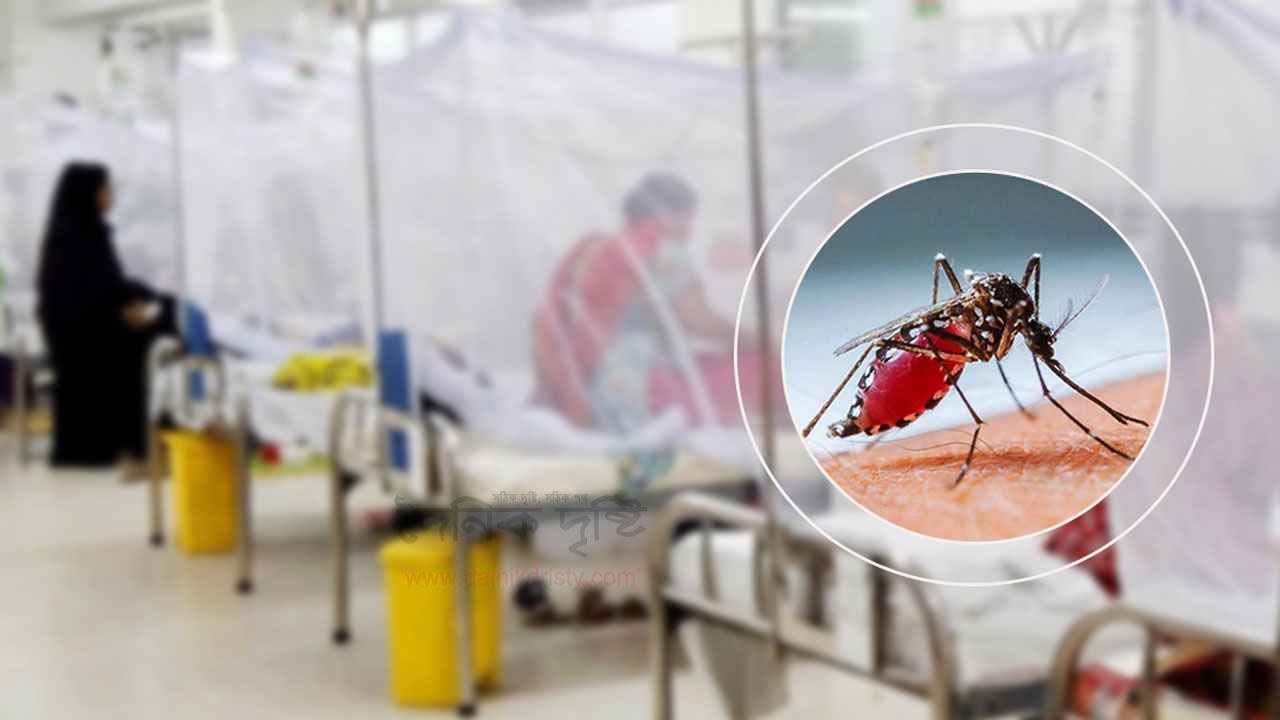 ভয়ংকর রূপ দেখাতে পারে ডেঙ্গু